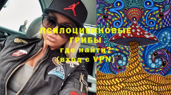 Альфа ПВП Верея