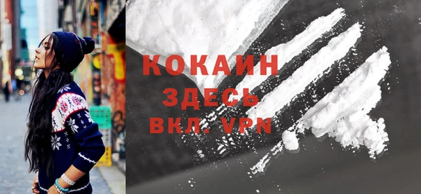 Альфа ПВП Верея