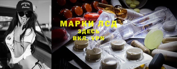 Альфа ПВП Верея