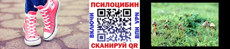 Купить Горняк Псилоцибиновые грибы Magic Shrooms